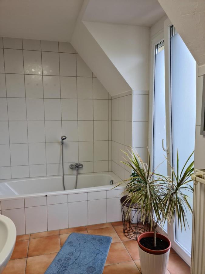 Lichtdurchflutetes Zimmer - Kaeppele Waldbuttelbrunn Dış mekan fotoğraf
